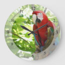 Recherche de aras horloges Oiseaux