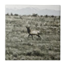 Suche nach elk fliesen Tierwelt
