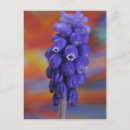 Suche nach essbar poster Blume