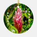 Suche nach plumeria ornamente Hawaiianische blume