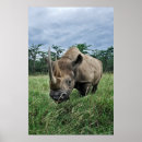 Recherche de rhinocéros posters Faune