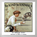 Suche nach nette tiere poster Katze