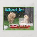 Recherche de maintenant cartes postales Chat