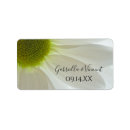 Recherche de white daisy autocollants Fleurs