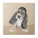 Recherche de basset hound carreaux Dog