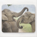 Suche nach indischer elefant mousepads Wiese