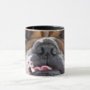 Recherche de funny dogs tasses Dog lover