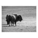 Suche nach natur fotos poster Landschaft