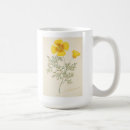 Suche nach goldener herbst tassen Blume