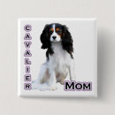 Recherche de cavalier badges Espagne