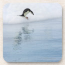 Suche nach draußen untersetzer Süße tiere