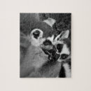 Recherche de anneaux puzzles Faune