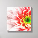 Suche nach romantische blumen leinwandbilder Makro
