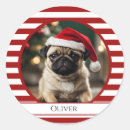 Suche nach kleine hunde aufkleber Für foto