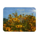 Recherche de susans magnets Nature