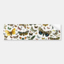 Suche nach zeichnen autoaufkleber Schmetterling