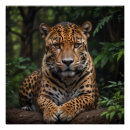 Recherche de reposant posters Faune