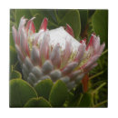 Suche nach hawaii blumen fliesen Hawaiisch