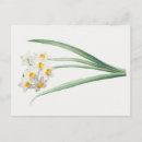 Recherche de pierre joseph cartes postales Illustration