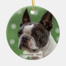 Suche nach boston terrier schmuck Niedlich