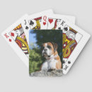Recherche de boxer jeux de cartes Dog