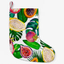 Recherche de clipart chaussette de noël Botanique
