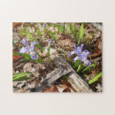 Suche nach miniatur puzzle Blumenreich