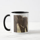 Recherche de le zimbabwe tasses Dehors