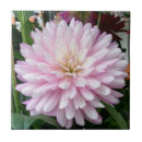 Suche nach dahlie fliesen Mit blumen