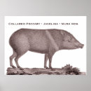 Suche nach moschus poster Tiere
