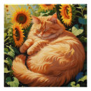 Suche nach fat cat poster Katze