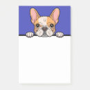 Recherche de bulldogge post it Chiot