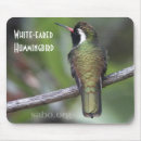 Suche nach weißer vogel mousepads Kolibri