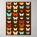 Suche nach brauner schmetterling poster Schmetterlinge