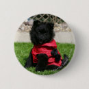 Suche nach kamera buttons Hund
