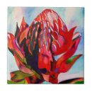 Recherche de indigène carreaux Floral