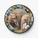 Suche nach afrikanischer elefant teller Giraffe