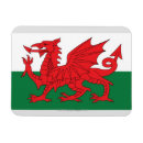 Recherche de drapeau pays galles magnets Baleines