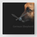Recherche de de berger allemand horloges Canin