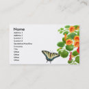 Recherche de papillon de machaon cartes visite Papillons