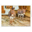 Suche nach jenny karten Jack