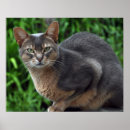 Recherche de clinique art Bleu
