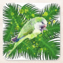 Suche nach grüner papagei untersetzer Tropisch