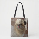 Suche nach shih tzu taschen Haustiere