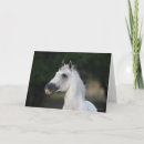 Suche nach stallion karten Kopfschuss