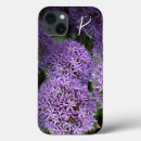 Recherche de violettes photographie Nature