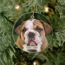 Suche nach englische bulldogge ornamente Hund