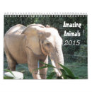 Suche nach safari kalender Giraffen