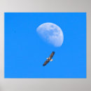 Recherche de astrologique posters Ciel