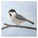 Suche nach schwarze vögel fliesen Aquarell